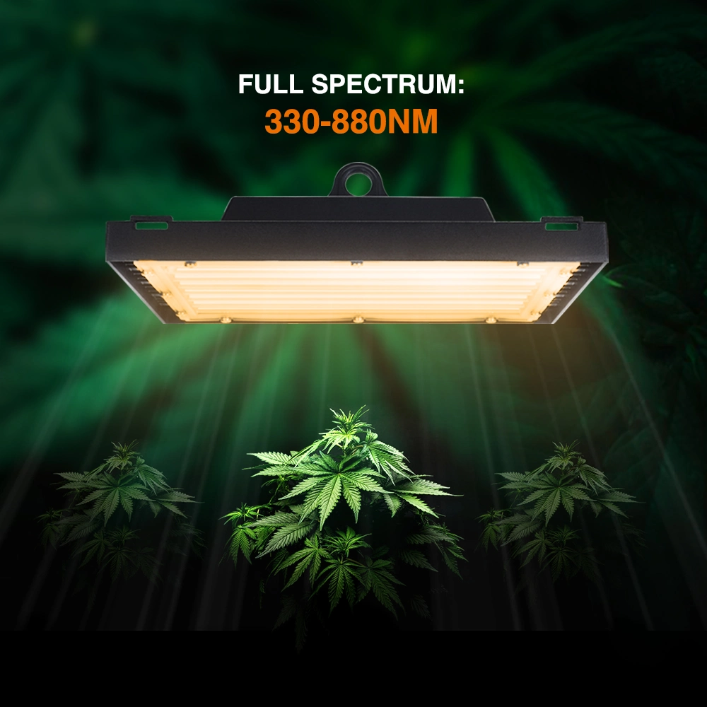 Directly Supply Farming Equipment 350W Full Spectrum SMD LED Grow Light