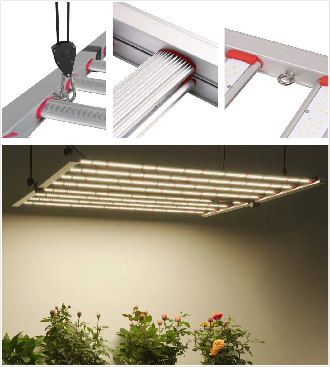 High Yield 650W Foldable LED Grow Light OEM/ODM Idoor Medical Plants