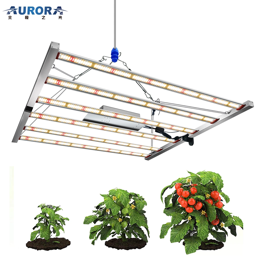 OEM &amp; ODM Customized High Power 650W 800W Full Spectrum LED Grow Light for Greenhouse Indoor Plants Growing