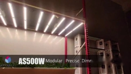 Dimmable Factory Direct Supply Dual Spectrum Custom LED Tunnel Light 350W 500W