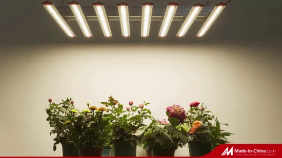 LED Grow Light 1000W Spyder LED Plant Grow Light with Inventronics Driver