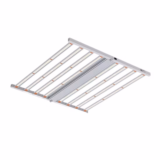 Wholesale LED Grow Panel Customized Waterproof CE RoHS 600W 1000W Grow Lighting LED Lamp High Power Full Spectrum LED Plant Grow Light